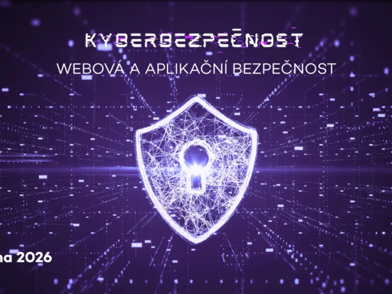 Kyberbezpečnost: webová a aplikační bezpečnost