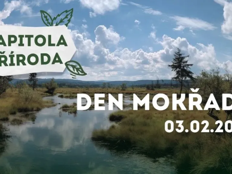 Kapitola příroda: Světový den mokřadů