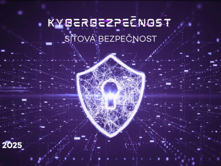 Kyberbezpečnost: síťová bezpečnost