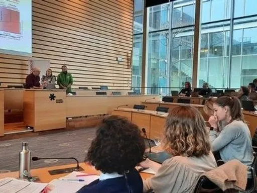 Plzeň jako jediná v Česku zamířila do dalšího evropského projektu