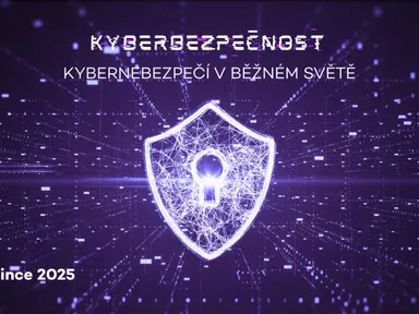 Kyberbezpečnost: kybernebezpečí v běžném světě