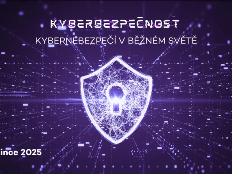 Kyberbezpečnost: kybernebezpečí v běžném světě