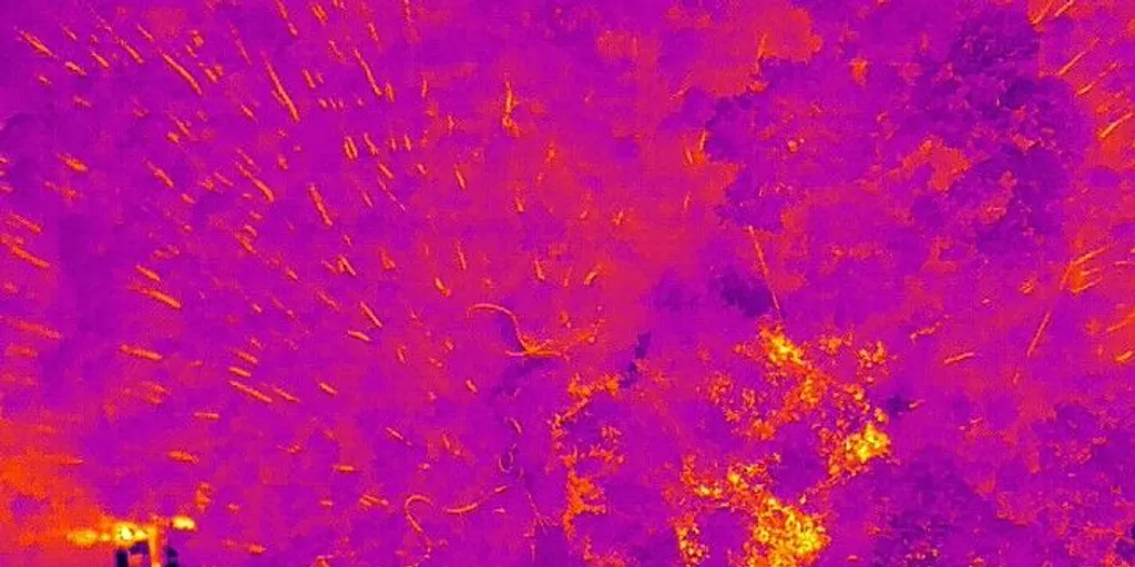 Plzeňští dronaři mají napilno, vyrážejí k požárům i vážným nehodám