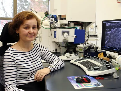 Mezinárodní tým v čele s vědkyní z Fakulty strojní ZČU vyvíjí materiál pro skladování vodíku