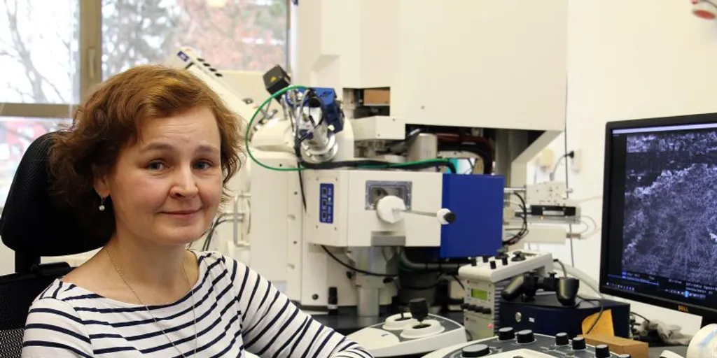 Mezinárodní tým v čele s vědkyní z Fakulty strojní ZČU vyvíjí materiál pro skladování vodíku